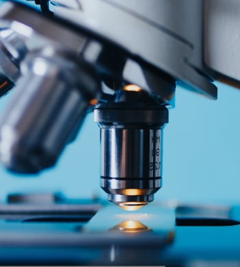 Life Sciences 